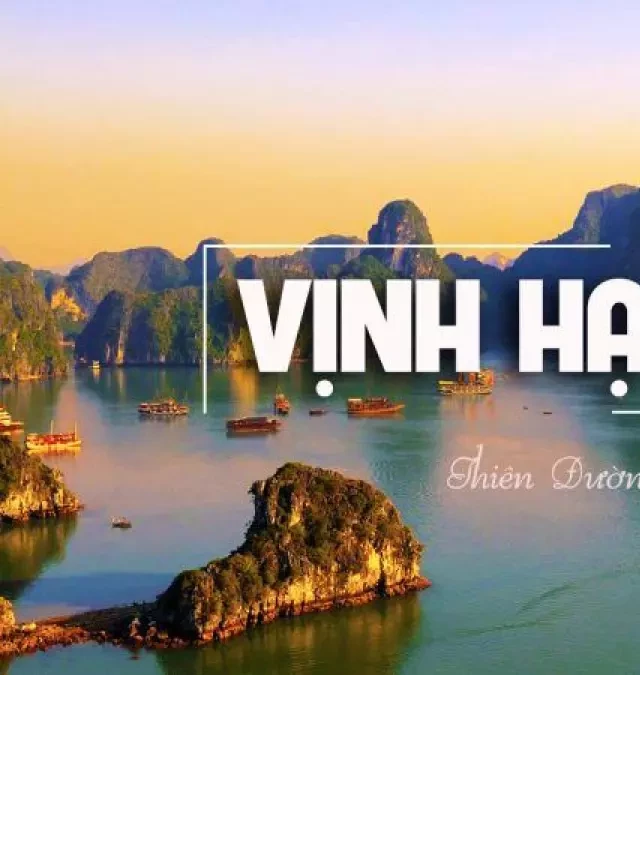   Tour Hạ Long 2 ngày 1 đêm: Trải nghiệm đáng nhớ trên vịnh Hạ Long