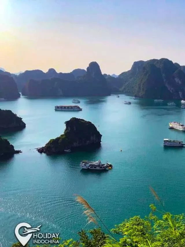   Tour Hạ Long: Khám phá vẻ đẹp tuyệt vời của vịnh 01/24 Mới Lạ