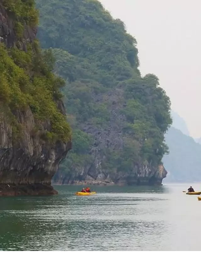   Tour Hạ Long - Sa Pa Trọn Gói 3 Ngày 2 Đêm: Khám Phá Vẻ Đẹp Độc Đáo Của Việt Nam