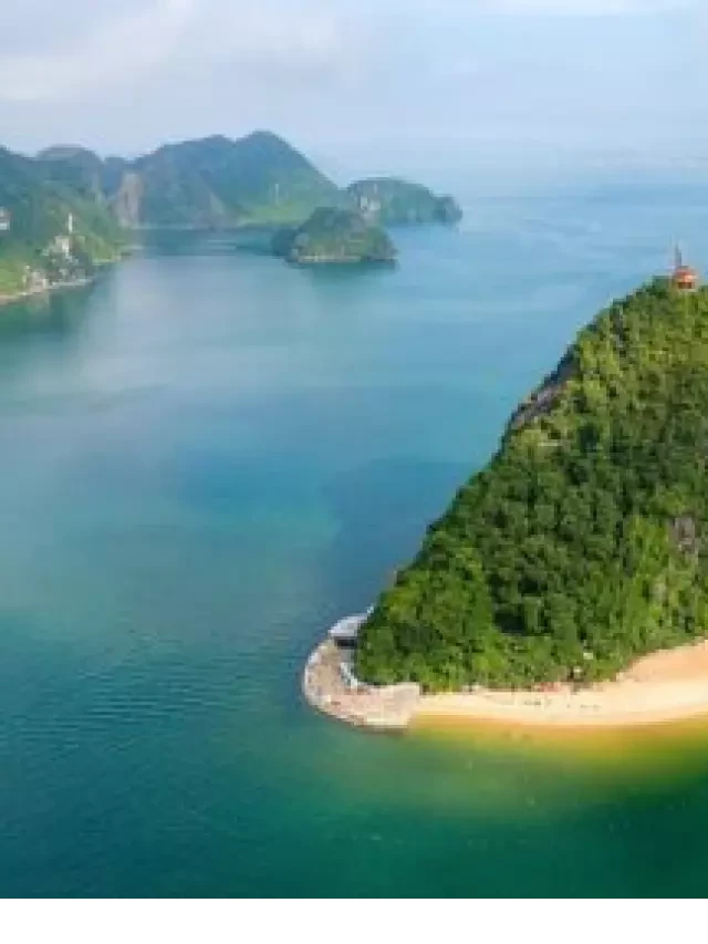   Tour Hạ Long – Sa Pa Trọn Gói 4 Ngày 3 Đêm: Hành trình khám phá thiên đường nhiệt đới