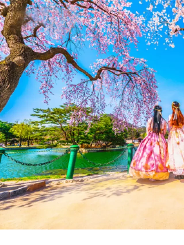   Tour Hàn Quốc 6N5Đ | Busan – Deagu – Seoul từ Tp.HCM