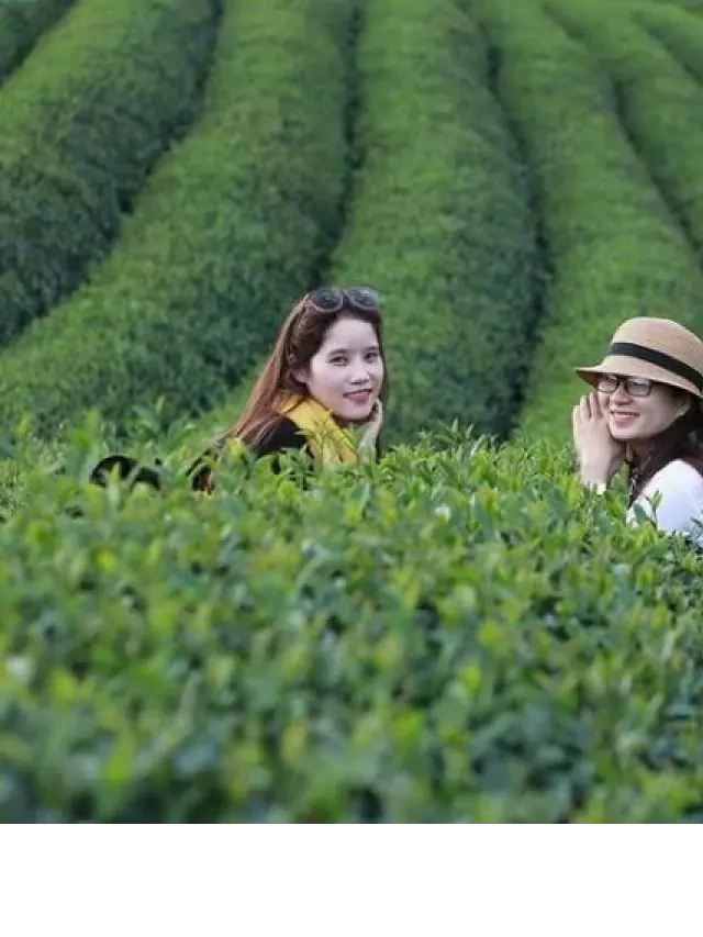  Du lịch Mai Châu - Mộc Châu 3 ngày 2 đêm giá 2.490K: Trải qua những trải nghiệm đáng giá