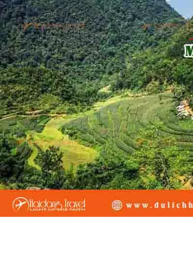   Tour miền bắc 3 ngày 2 đêm: Khám phá vẻ đẹp thiên nhiên miền Bắc