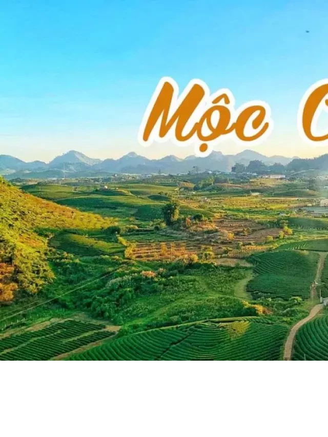   Tour Mộc Châu: Khám phá hòn ngọc thiên nhiên Sơn La