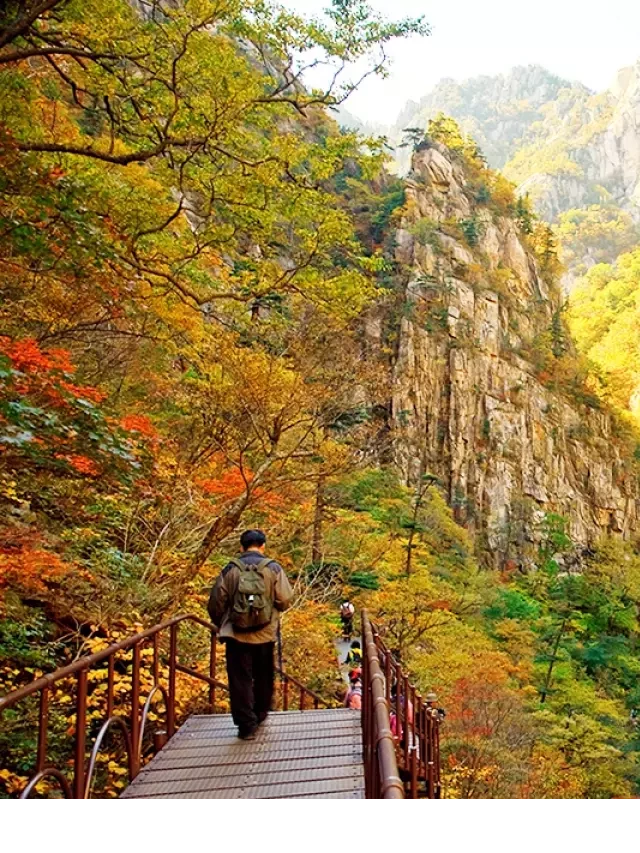   Tour Seoraksan - Incheon - Seoul - Nami: Khám phá Hàn Quốc trong 5 ngày 4 đêm