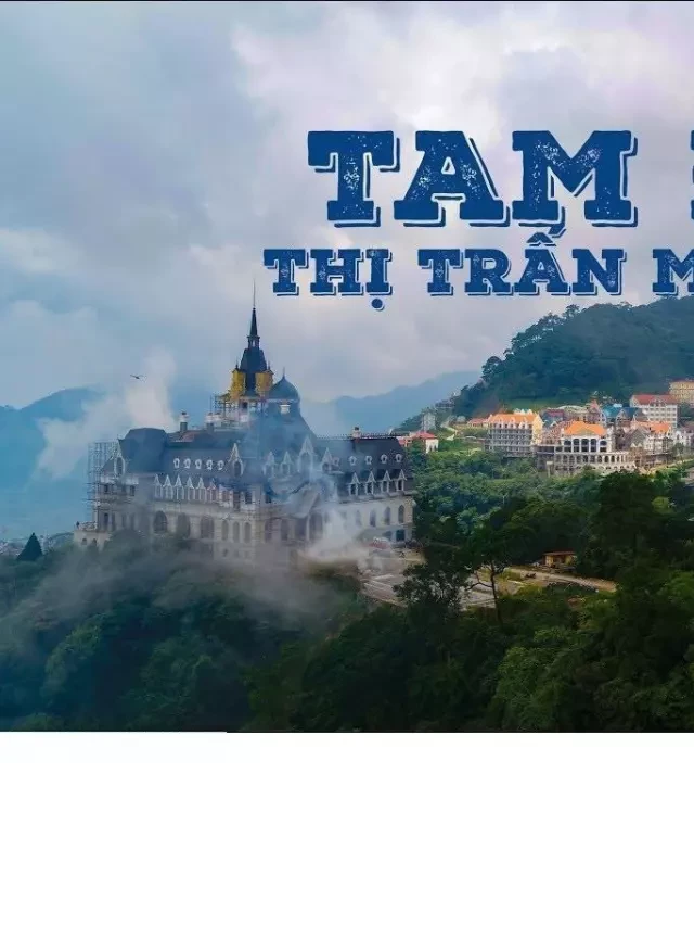   Du lịch Tam Đảo 2 ngày 1 đêm: Khám phá thiên đường nghỉ dưỡng miền Bắc