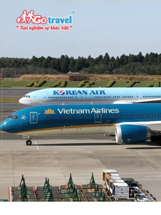   Kinh nghiệm du lịch Seoul Hàn Quốc tự túc - Trọn bộ từ A-Z