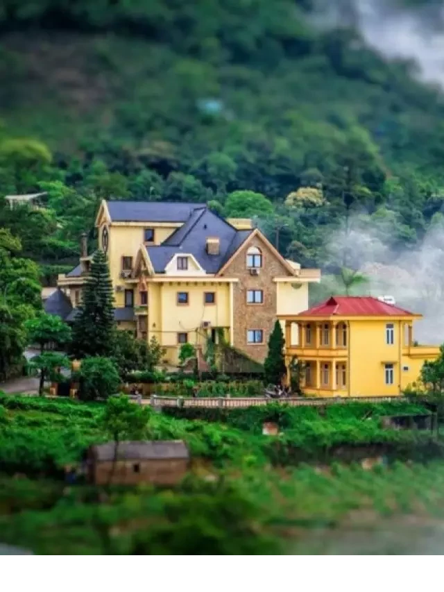   Vẻ đẹp của Tam Đảo: Kỳ quan thiên nhiên phía Bắc Việt Nam
