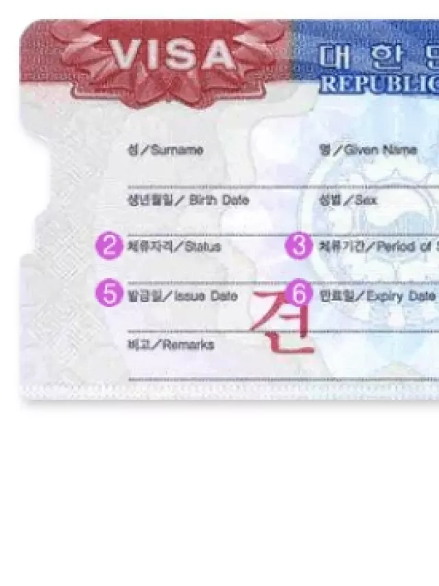   Hướng dẫn chi tiết cách xin visa du lịch tự túc ở Hàn Quốc