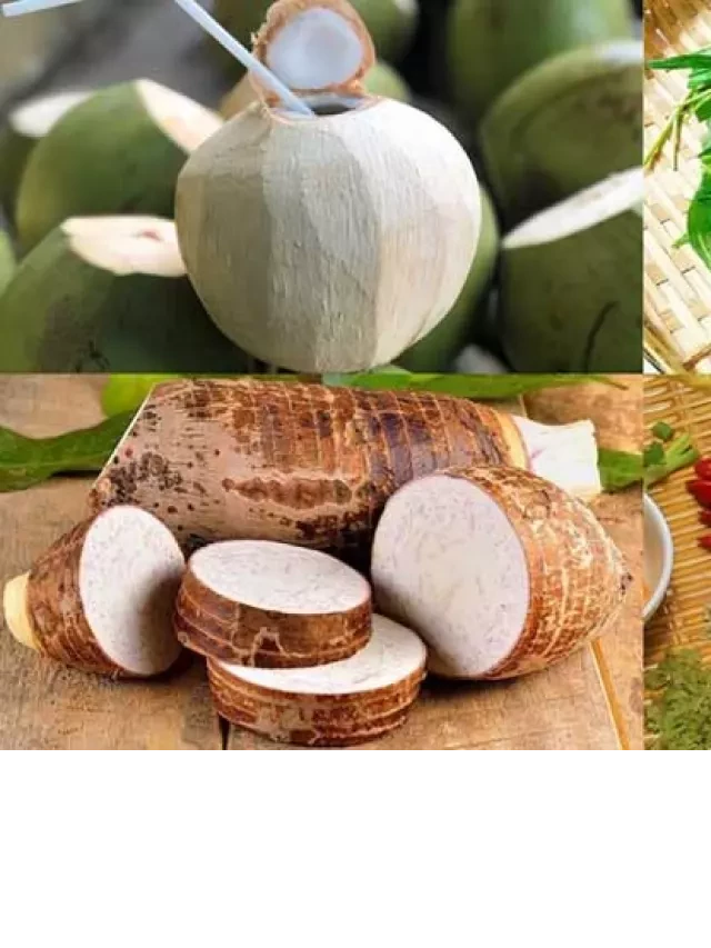   Hướng dẫn cách làm lẩu vịt nấu chao tại nhà