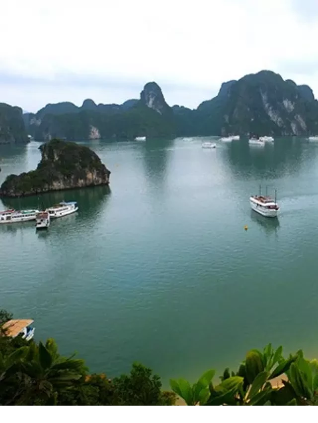   Những Kinh Nghiệm Đặt Vé Máy Bay Đến Hạ Long Bạn Không Thể Bỏ Qua