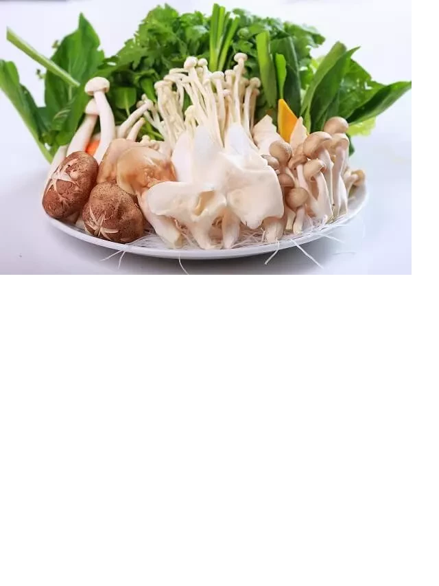   Cách làm lẩu ngan thơm ngon chuẩn như hàng quán