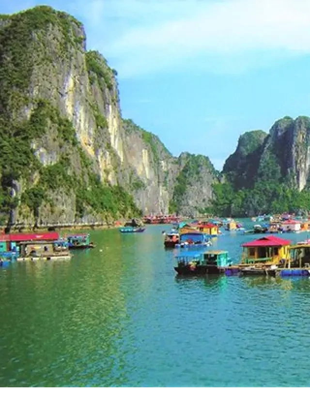   Bảng giá tàu thăm Vịnh Hạ Long từ 4 - 6 - 8 tiếng