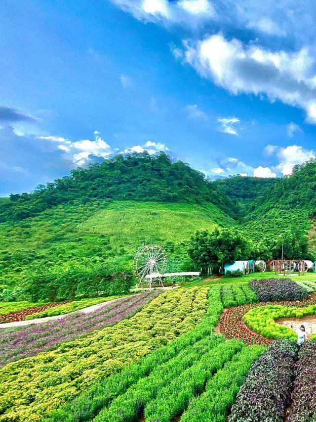  Mộc Châu Happy Land – Nơi Tuyệt Vời Cho Du Khách