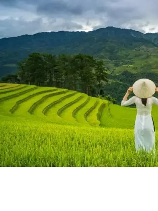   Review Mù Cang Chải: Khám phá vẻ đẹp độc đáo của miền núi Tây Bắc