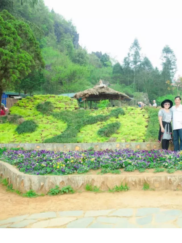  Cách di chuyển từ SaPa đi Mù Cang Chải như thế nào?