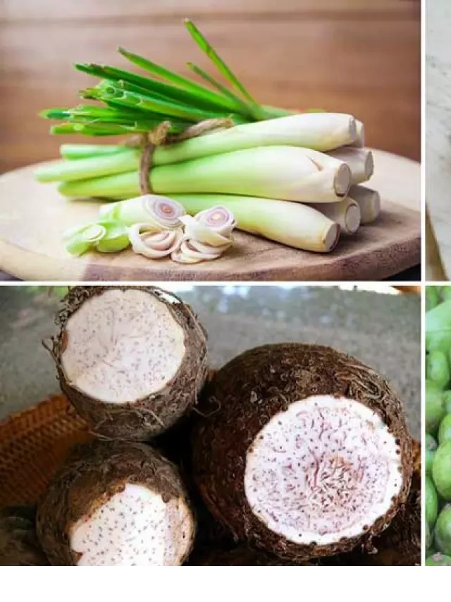   Cách làm lẩu vịt om sấu thơm ngon, đơn giản