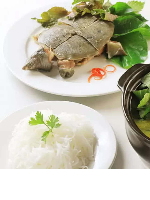  Cách nấu món lẩu ba ba: Hương vị hấp dẫn như ngoài hàng