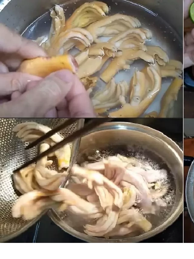   Chân vịt rút xương làm món gì ngon? Hướng dẫn làm 2 món dễ nhất