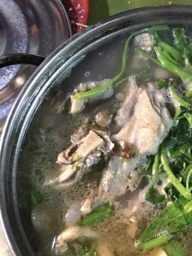   Đừng Bỏ Qua Top 8 Quán Vịt Om Sấu Ngon Hà Nội