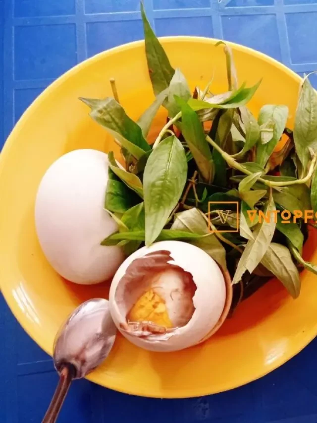   Hột vịt lộn Phú Nhuận: Những quán ngon không thể bỏ qua