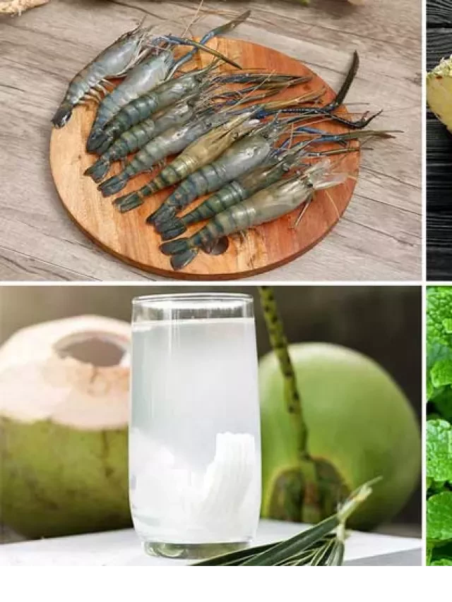   Hướng dẫn làm lẩu tôm càng xanh ngon tuyệt vời tại nhà