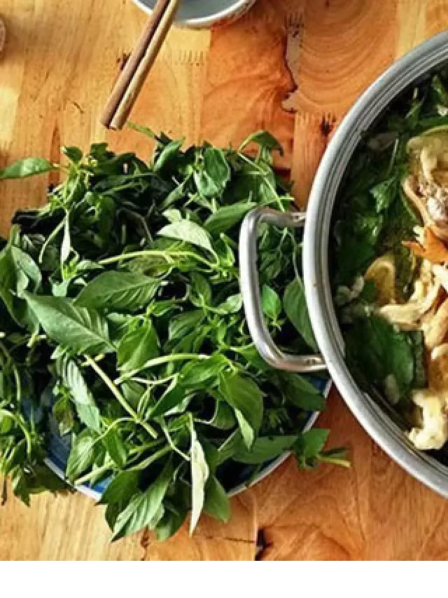   Lẩu Gà Lá É - Kỳ hữu hương vị từ vùng đất Phú Yên