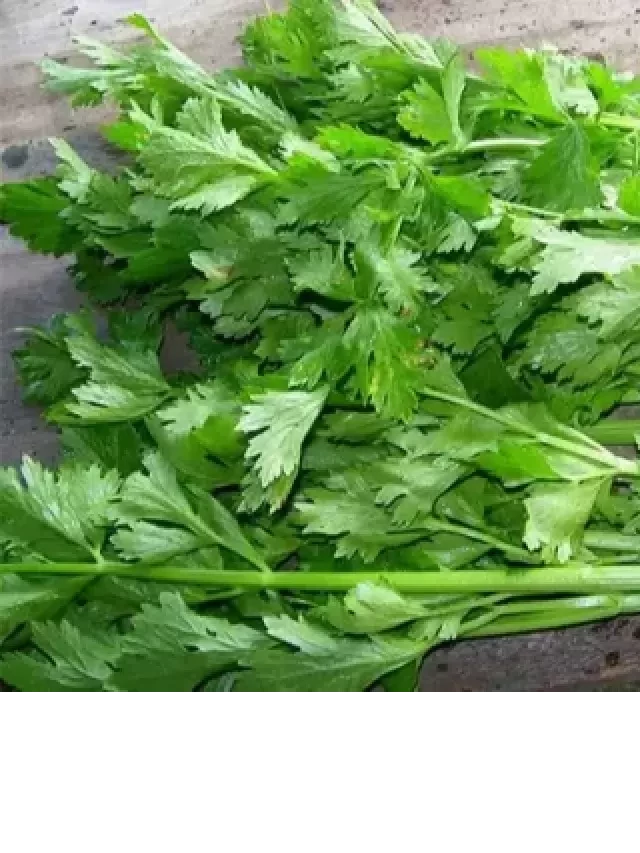   Mẹo Chuẩn Bị Nguyên Liệu Khi Ăn Lẩu Gà Tại Nhà