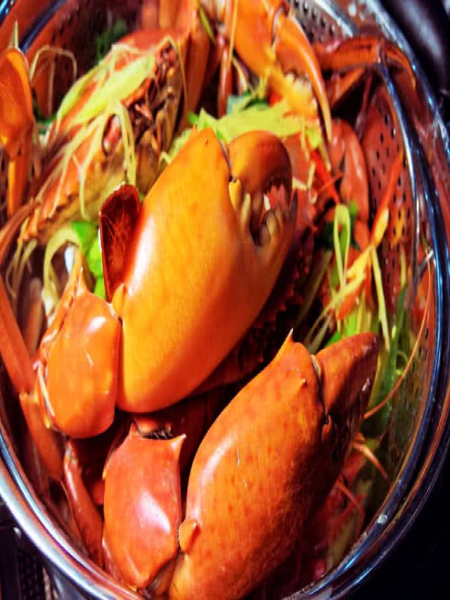   Chuỗi nhà hàng Hải Sản Biển Đông - Nét đặc trưng của hải sản tươi sống
