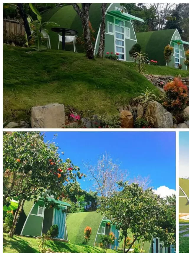   Greenland II – Homestay giữa đại ngàn có view NGẮM TRỌN QUẢ NÚI ở Đà Lạt