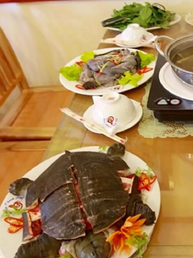   Hướng dẫn làm món ăn ba ba lẩu rượu vang đỏ ngon, bổ cho gia đình