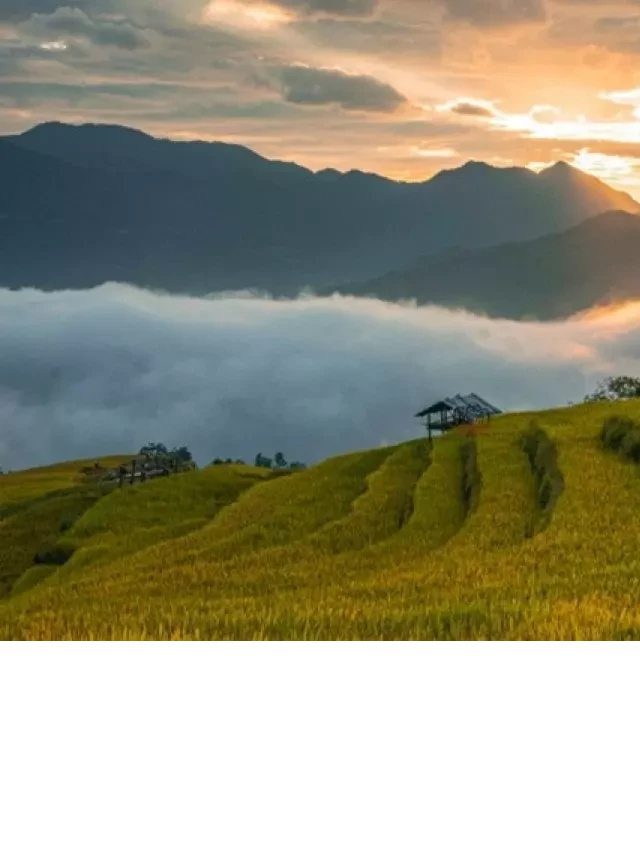   Kinh nghiệm du lịch Tú Lệ: Nhìn lại vẻ đẹp hoang sơ và văn hóa độc đáo