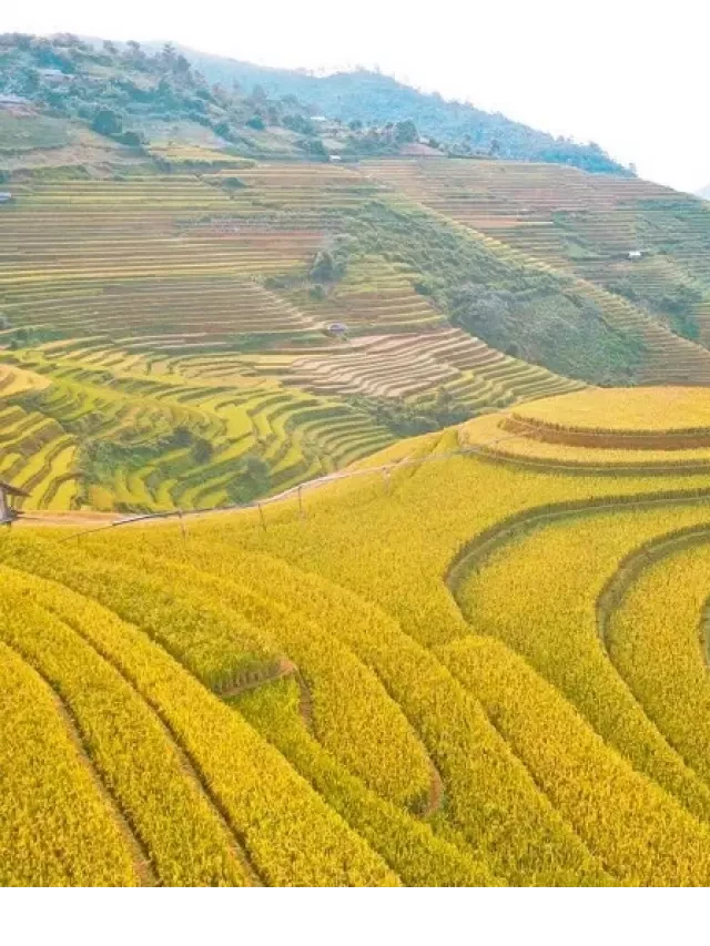   Khám phá Mù Cang Chải: Trải nghiệm du lịch mùa lúa chín