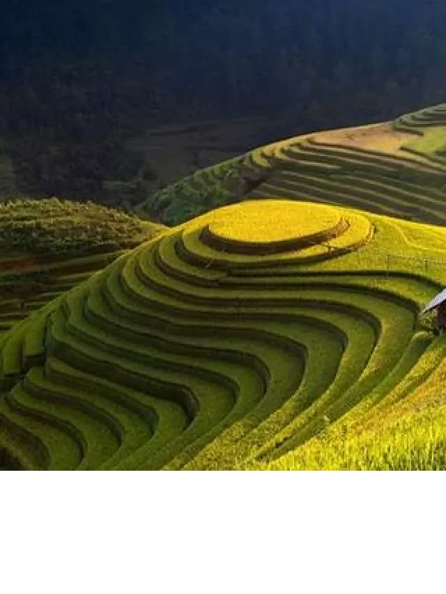   Những Điểm Du Lịch Lôi Cuốn Lòng Phượt Thủ ở Yên Bái