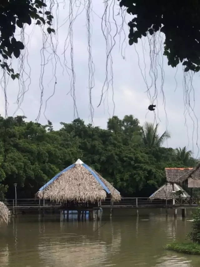   Top 7 quán lẩu gà Vĩnh Long ngon nhất