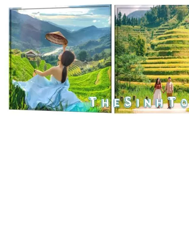   Tour du lịch Mù Cang Chải 3 ngày 2 đêm: Khám phá những cung đường đồi chè
