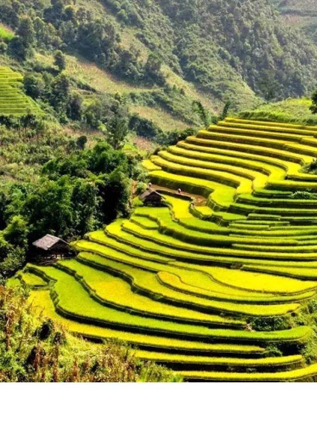   Du lịch Hà Nội - Mù Cang Chải - Suối Nước Nóng Trạm Tấu - Nghĩa Lộ - Đồi Chè Thanh Sơn: Trải nghiệm 3 ngày 2 đêm