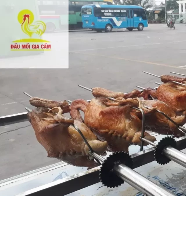  Vịt quay: Tìm nơi cung cấp vịt để quay uy tín Miền Nam