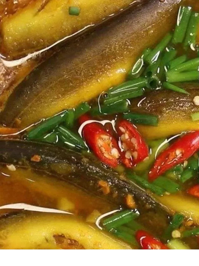   Cá Chạch: 6+ Gợi Ý Món Ngon Không Thể Bỏ Qua