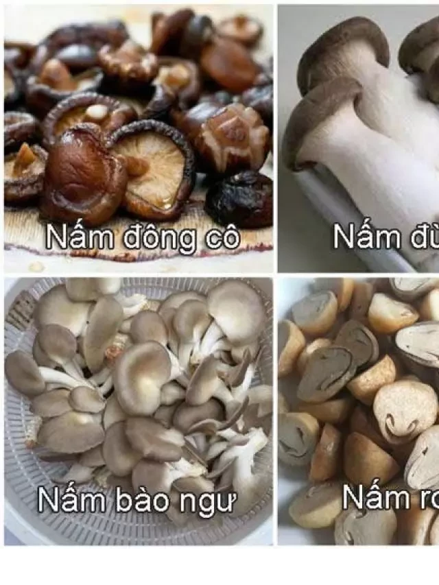   Cách Nấu Lẩu Nấm Đa Dạng Tại Nhà