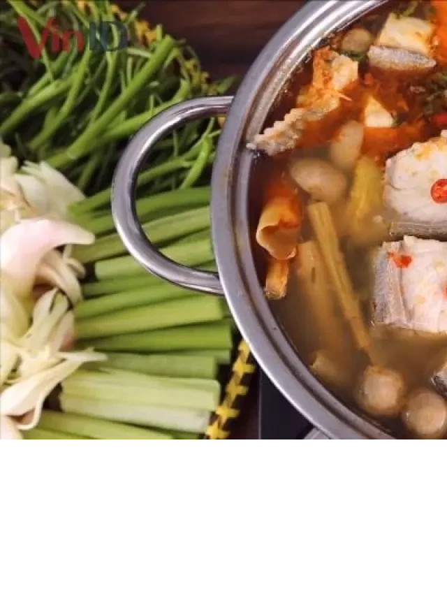   TOP 3 cách nấu lẩu cá bớp đơn giản, thơm béo, ăn là ghiền