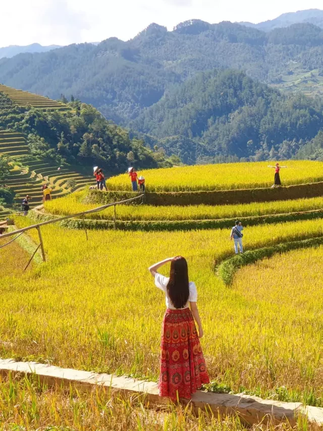   Kinh nghiệm du lịch Mù Cang Chải: Tậu ngay những trải nghiệm hấp dẫn cho chuyến hành trình đầu tiên