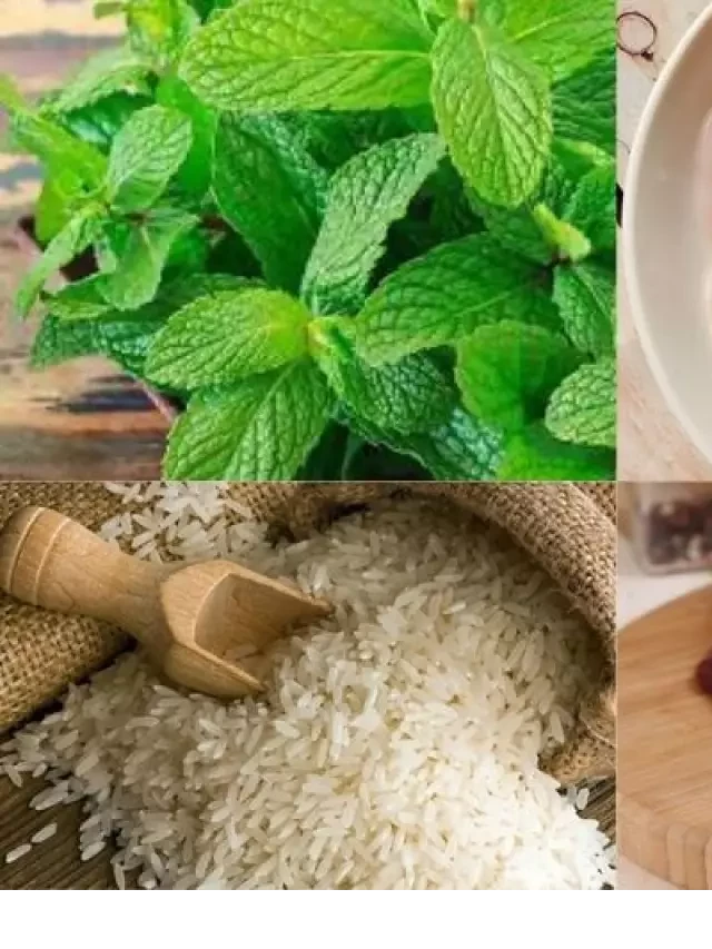   Bật mí công thức nấu lẩu cháo lòng cực hấp dẫn với hương vị độc đáo, thơm ngon