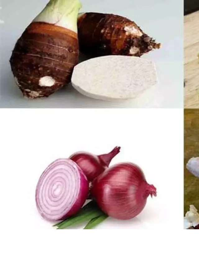   Bí kíp nấu lẩu vịt thập cẩm thơm ngon, bổ dưỡng ngay tại nhà