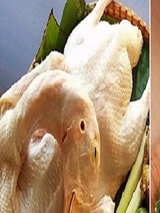   Cách vặt lông vịt bằng lá đu đủ - Dễ dàng và nhanh chóng