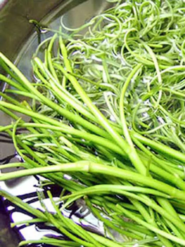   Lẩu hải sản ăn rau gì ngon? Top 7 loại rau ăn lẩu hải sản bạn nên biết