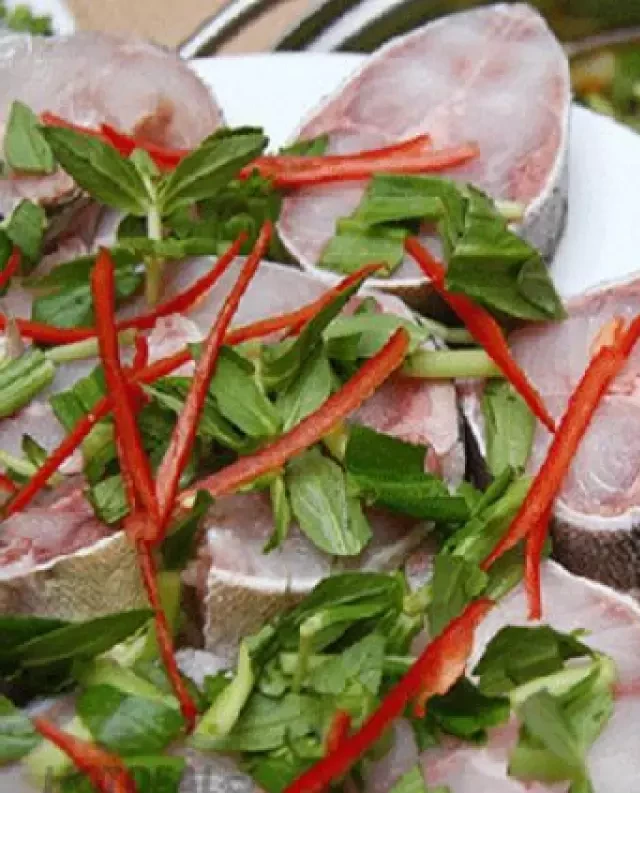   Mách bạn 3+ cách làm lẩu cá bớp thơm ngon đúng điệu