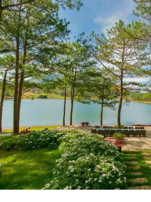   Review Terracotta Hotel and Resort Dalat – Trải nghiệm bình yên giữa thiên nhiên