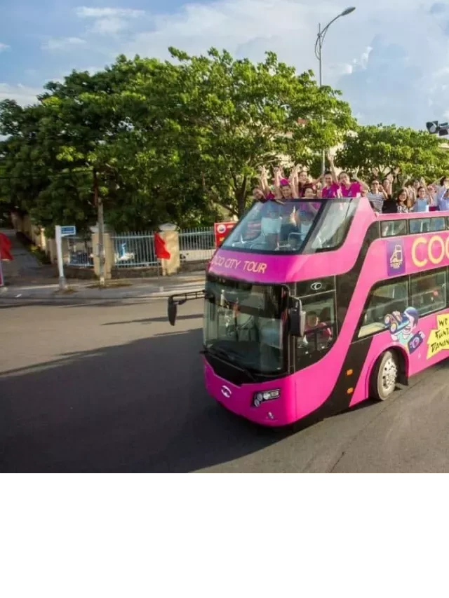   Tất tần tật kinh nghiệm khám phá Cocobay Đà Nẵng từ A đến Z