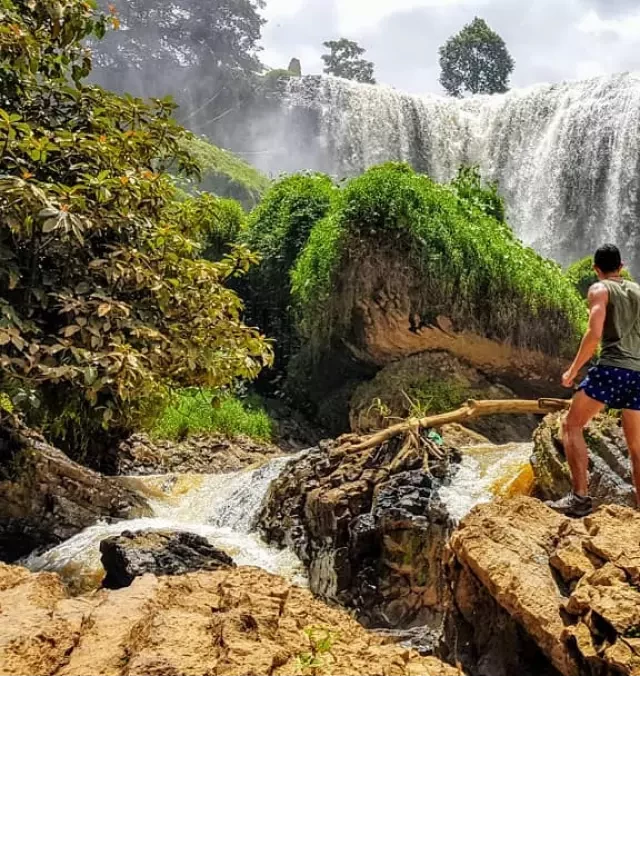   Thác voi Đà Lạt: Khám phá địa điểm thiên nhiên đẹp mê hồn